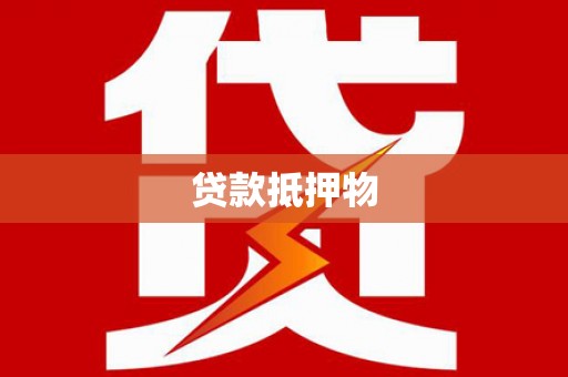 岭东贷款抵押物