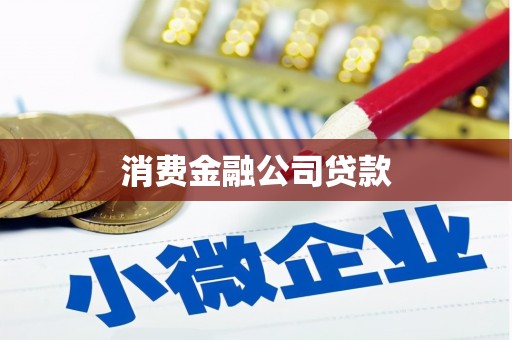 盐山消费金融公司贷款
