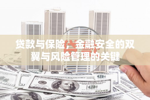 达孜贷款与保险，金融安全的双翼与风险管理的关键