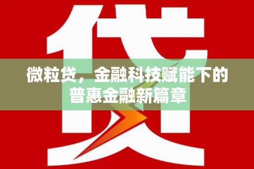 国姓微粒贷，金融科技赋能下的普惠金融新篇章