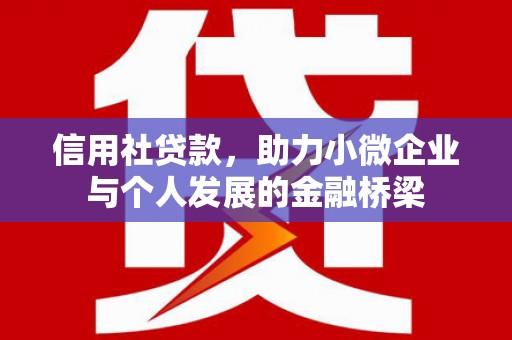宁夏信用社贷款，助力小微企业与个人发展的金融桥梁