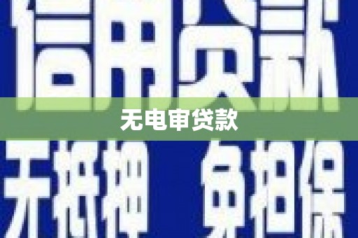 浦东无电审贷款