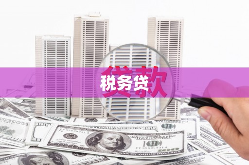 冷水江税务贷