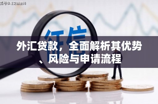 泸县外汇贷款，全面解析其优势、风险与申请流程