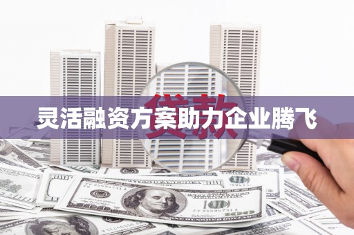 安化灵活融资方案助力企业腾飞