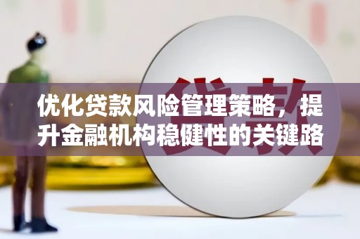 云梦优化贷款风险管理策略，提升金融机构稳健性的关键路径