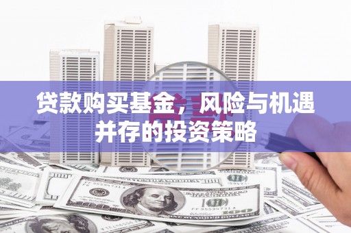 大朗贷款购买基金，风险与机遇并存的投资策略