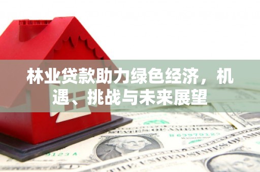 碑林林业贷款助力绿色经济，机遇、挑战与未来展望