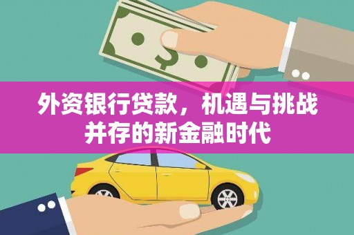 石冈外资银行贷款，机遇与挑战并存的新金融时代