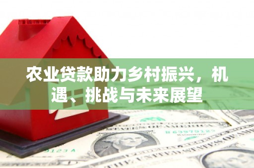 玄武农业贷款助力乡村振兴，机遇、挑战与未来展望