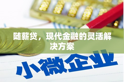 岳塘随薪贷，现代金融的灵活解决方案