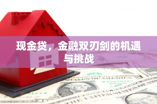 朱家尖现金贷，金融双刃剑的机遇与挑战