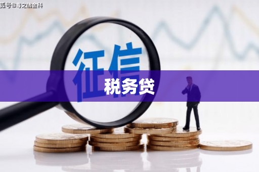 容县税务贷