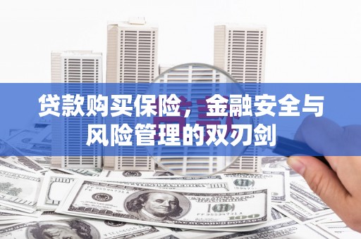 武江贷款购买保险，金融安全与风险管理的双刃剑
