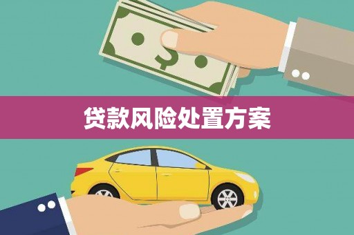 犍为贷款风险处置方案