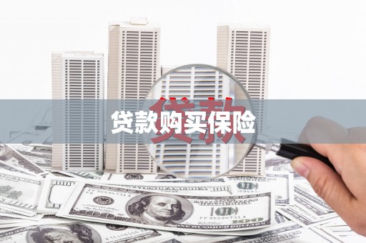 花地玛堂区贷款购买保险