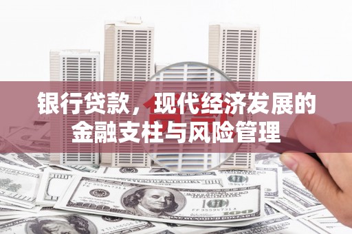 莱城银行贷款，现代经济发展的金融支柱与风险管理