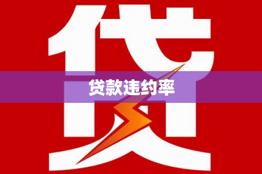 施甸贷款违约率