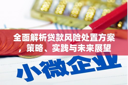 暖暖全面解析贷款风险处置方案，策略、实践与未来展望