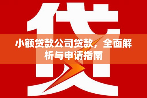 狮潭小额贷款公司贷款，全面解析与申请指南