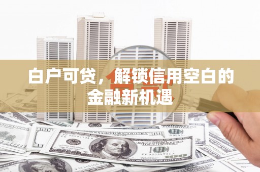 洛扎白户可贷，解锁信用空白的金融新机遇