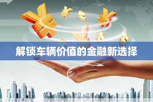 沙洋解锁车辆价值的金融新选择