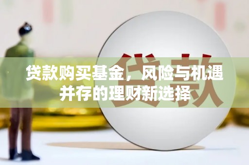 徐闻贷款购买基金，风险与机遇并存的理财新选择