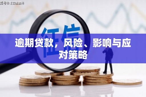灵宝逾期贷款，风险、影响与应对策略