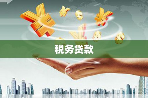 江孜税务贷款