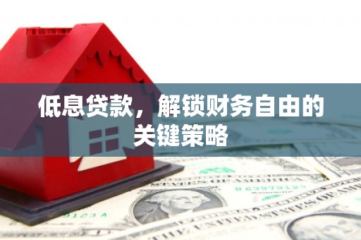 新泰低息贷款，解锁财务自由的关键策略
