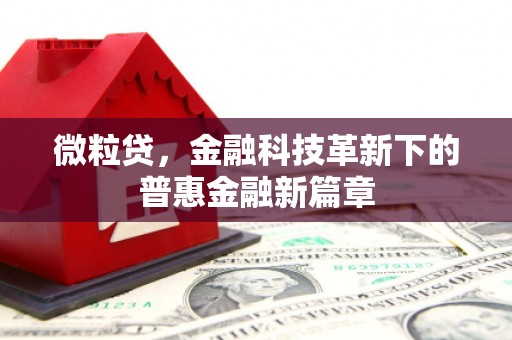 资阳微粒贷，金融科技革新下的普惠金融新篇章