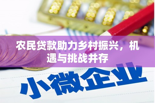 雁江农民贷款助力乡村振兴，机遇与挑战并存