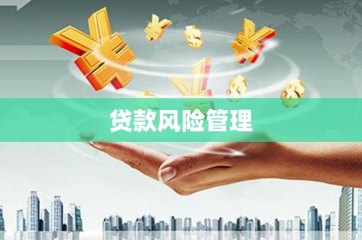 紫阳贷款风险管理