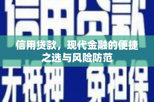 项城信用贷款，现代金融的便捷之选与风险防范