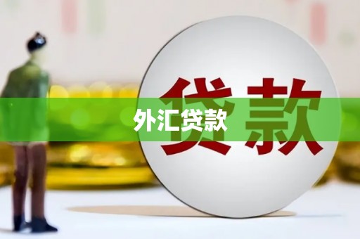 苏家屯外汇贷款