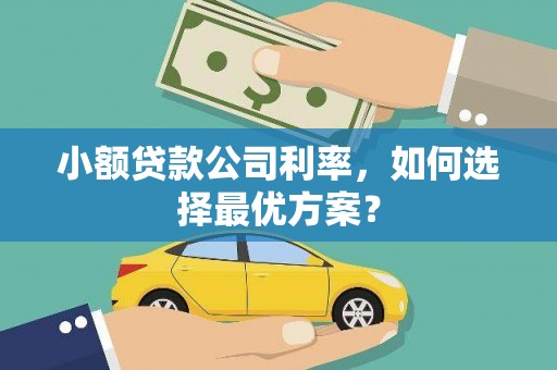 泸州小额贷款公司利率，如何选择最优方案？