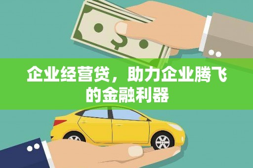 剑川企业经营贷，助力企业腾飞的金融利器