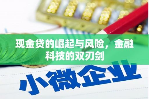 北关现金贷的崛起与风险，金融科技的双刃剑