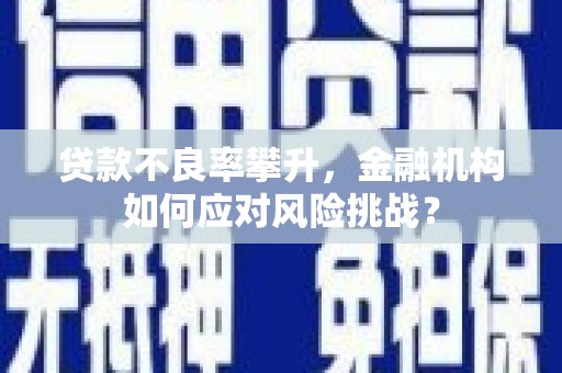 府谷贷款不良率攀升，金融机构如何应对风险挑战？