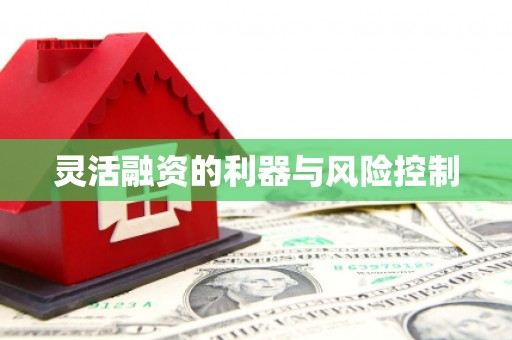 镇原灵活融资的利器与风险控制