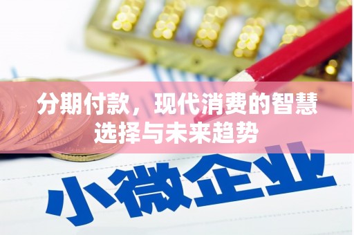 尼玛分期付款，现代消费的智慧选择与未来趋势