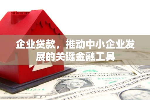 攀枝花企业贷款，推动中小企业发展的关键金融工具