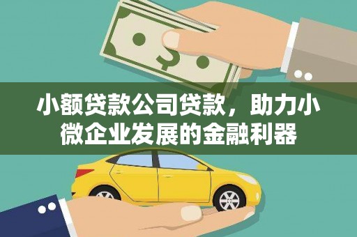 八德小额贷款公司贷款，助力小微企业发展的金融利器