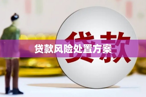 小金贷款风险处置方案