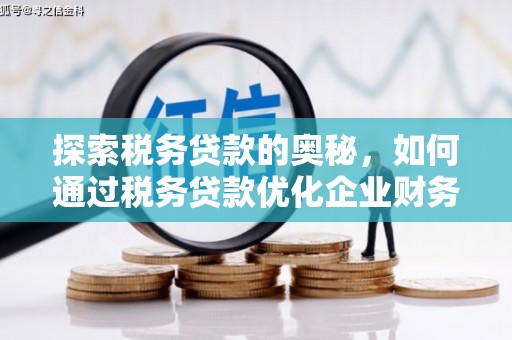 市中区探索税务贷款的奥秘，如何通过税务贷款优化企业财务