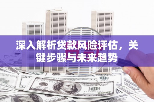 酒泉深入解析贷款风险评估，关键步骤与未来趋势