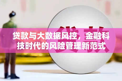 于田贷款与大数据风控，金融科技时代的风险管理新范式