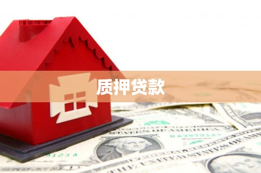 成武质押贷款