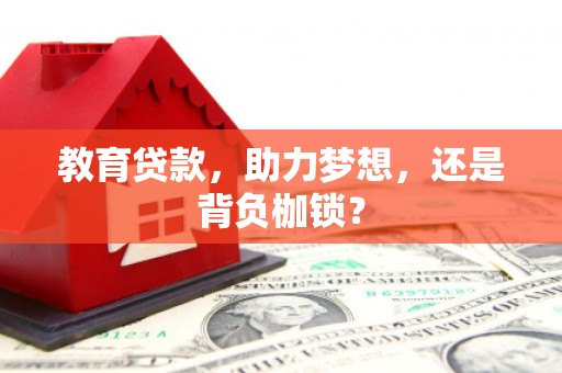 山东教育贷款，助力梦想，还是背负枷锁？