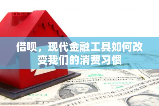 武昌借呗，现代金融工具如何改变我们的消费习惯